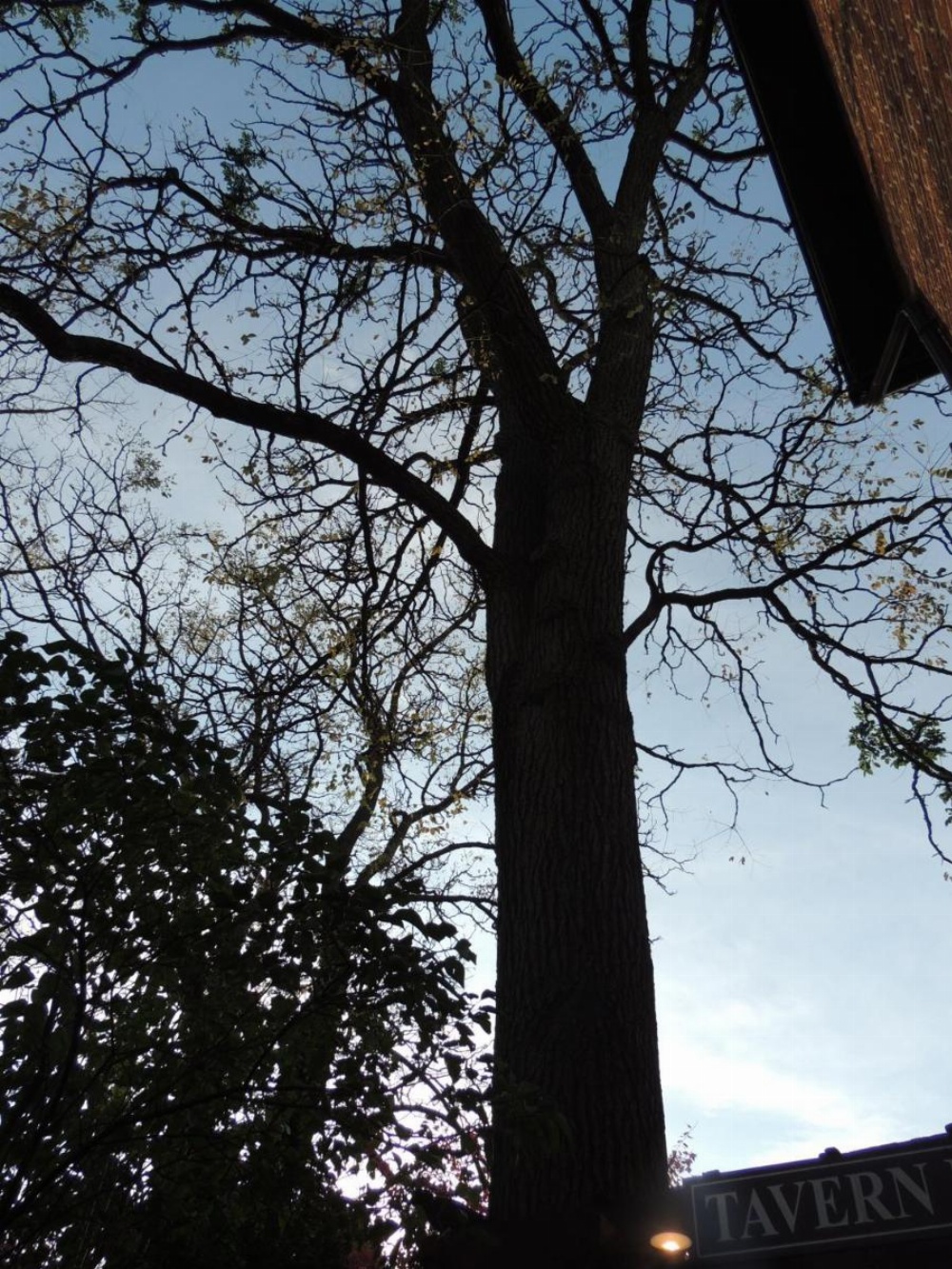 Farnsworth House Inn